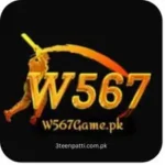 W567 Game